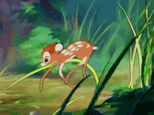 1609468697036.gif