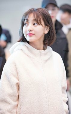 33081