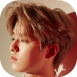 1611074288788.png