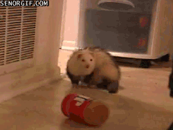 1611888612898.gif