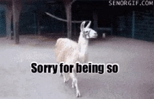 1613508878813.gif
