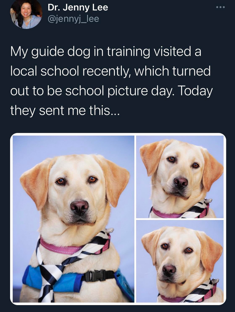 1613761443561.png
