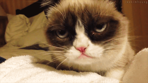 1614391875797.gif