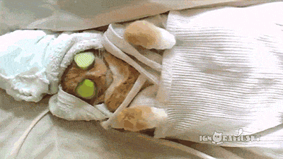 1614407406552.gif