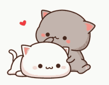 1614726550105.gif