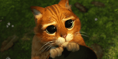1614907548752.gif