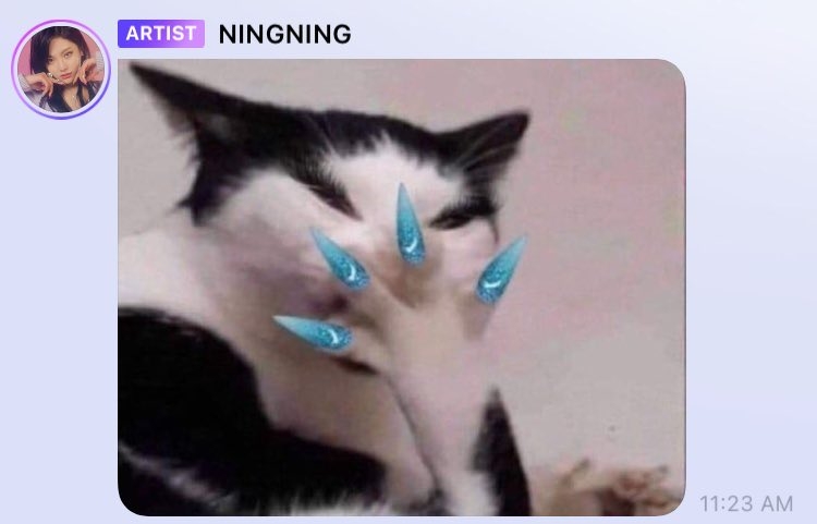 1620352148588.jpeg