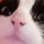 1625061172239.png