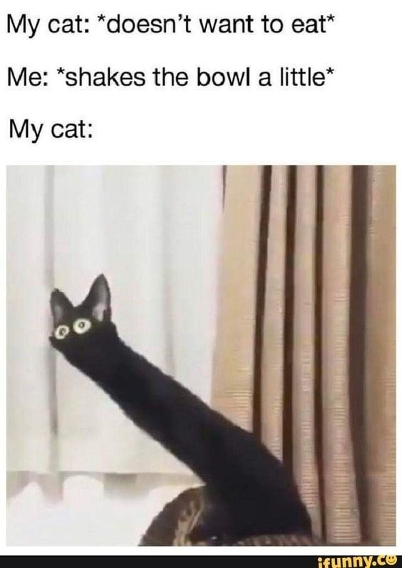 1628284227720.png