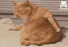 1630184195907.gif