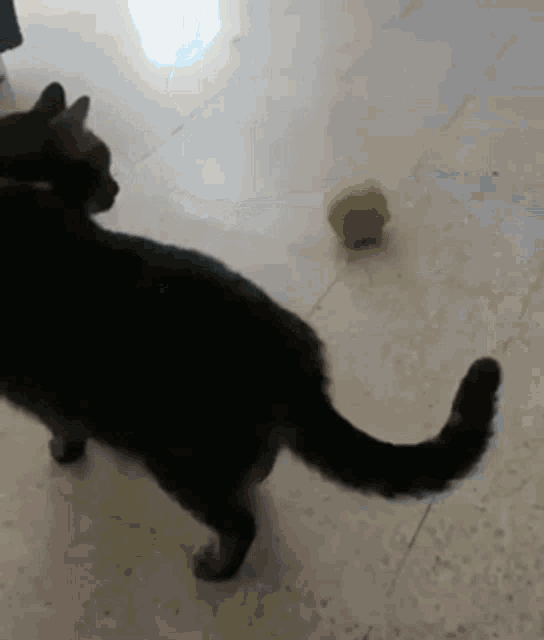 1632992650321.gif
