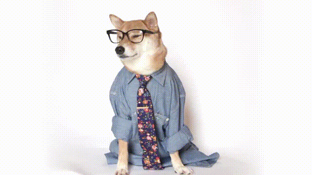 1633583008479.gif