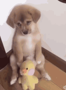 1634923400371.gif