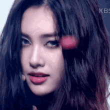 1635114546942.gif