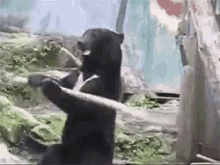 1636354560149.gif