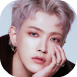 1636989219895.png