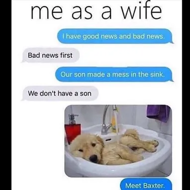 1637076287276.png