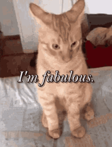 1637192187004.gif