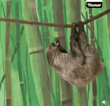 1637445851115.gif