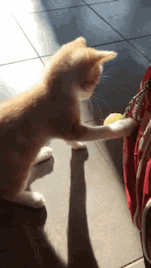 1637465127225.gif