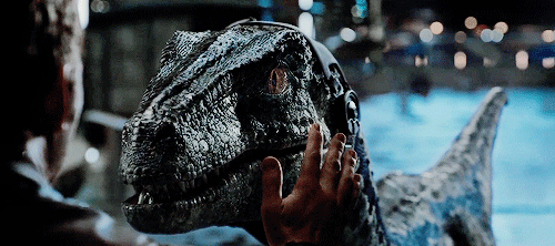 1639843893042.gif