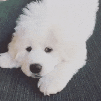 1639888253946.gif