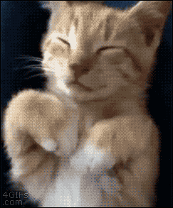 1640414067484.gif