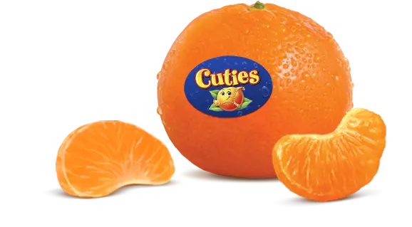 1642652592212.png