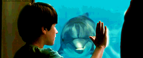 1646849303357.gif