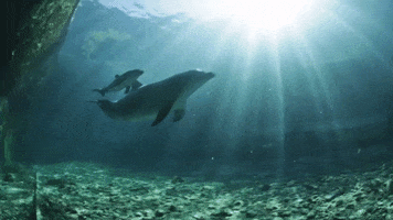 1646963426926.gif