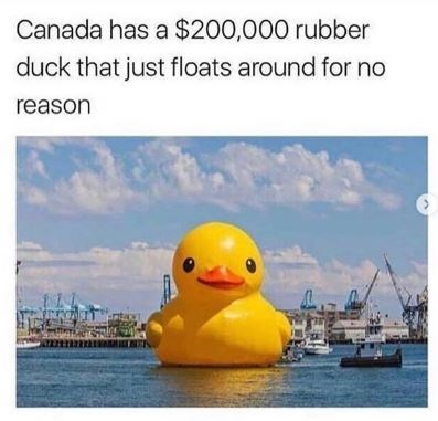 1647549303231.png