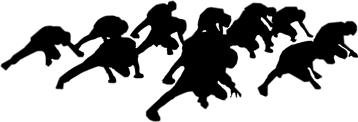 IMG_1252.png