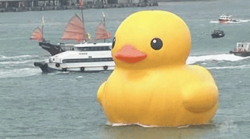 1648765318026.gif