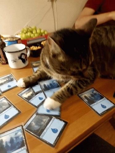 1648774766947.gif