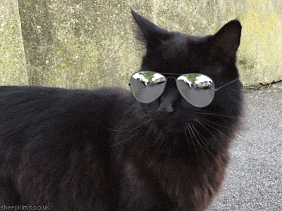 1648836077132.gif