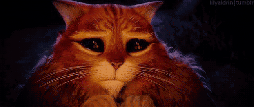 1649126352339.gif