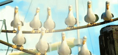 1649126583008.gif