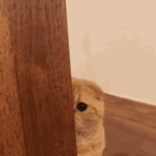 1649362598897.gif