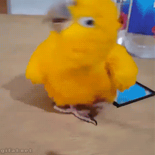 1649954501192.gif