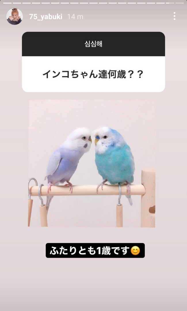 1651860985028.png