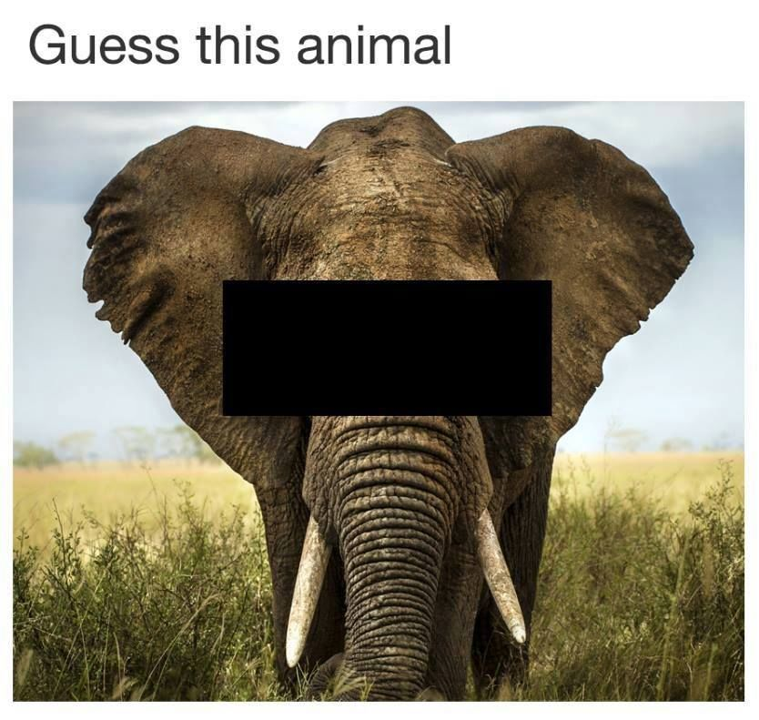 1652900144565.png