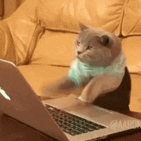 1653248929266.gif