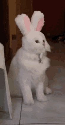 1654653474989.gif