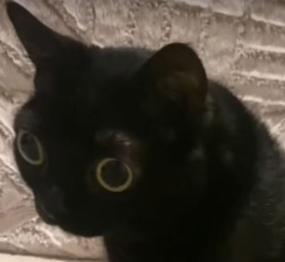 1656545416378.png