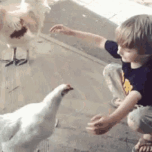 1659064326900.gif