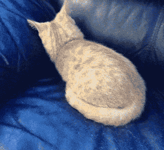 1659840760099.gif