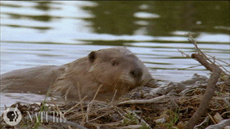 1660454610397.gif