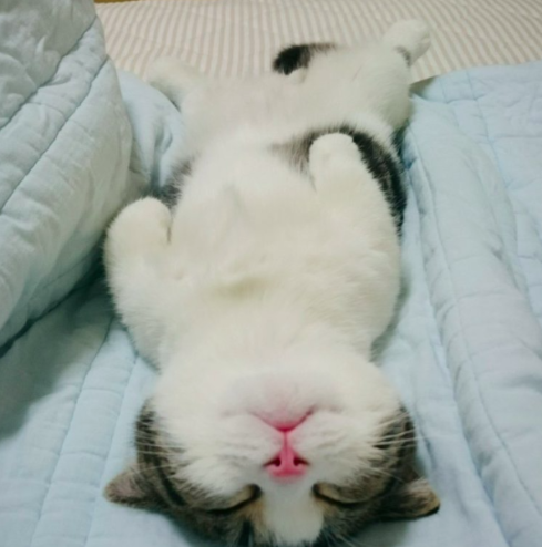 1660579027646.png
