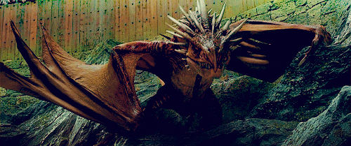 1664653501575.gif
