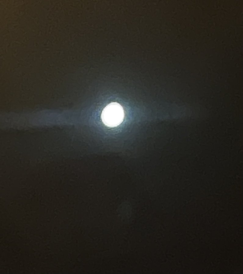 1664856145726.png
